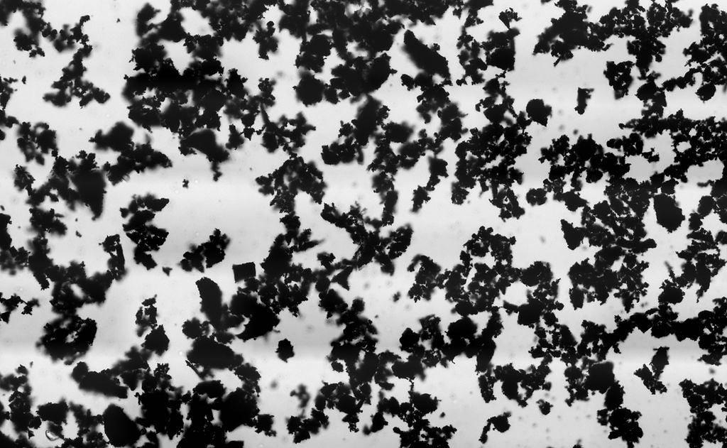 Activated carbon Manufacture wide application high quality