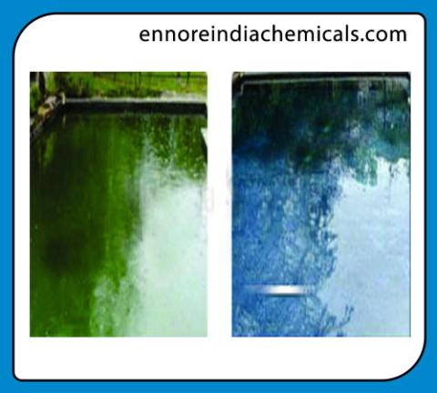 All In One Algaecide