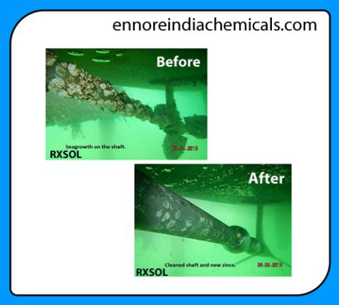 Boat Cleaner
