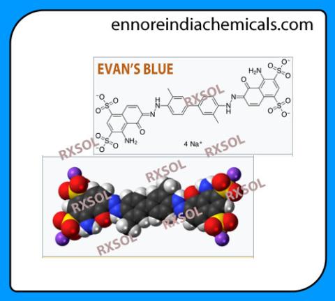 EVAN'S BLUE