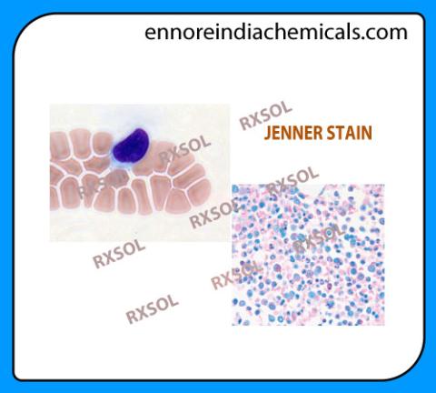 JENNER STAIN