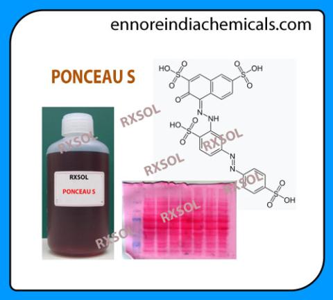 PONCEAU S