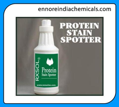 Protein Stain Spotter
