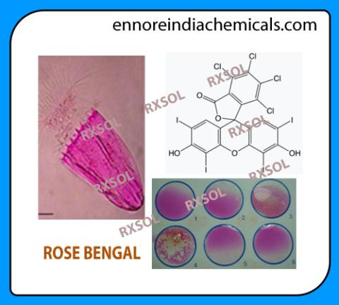 ROSE BENGAL