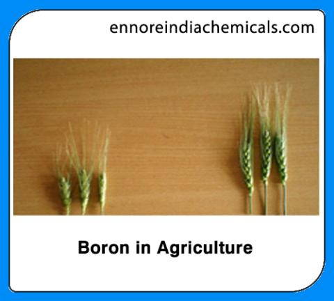 Boron