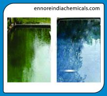 All In One Algaecide