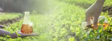 supplier of agrochemical or agricultural chemical in chennai Tamilnadu india