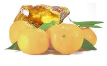 D Limonene manufacturers in chennai - ENNORE INDIA CHEMICAL